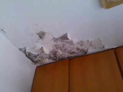 u=1948410012,865968192&fm=253&fmt=auto&app=138&f=JPEG.jpg