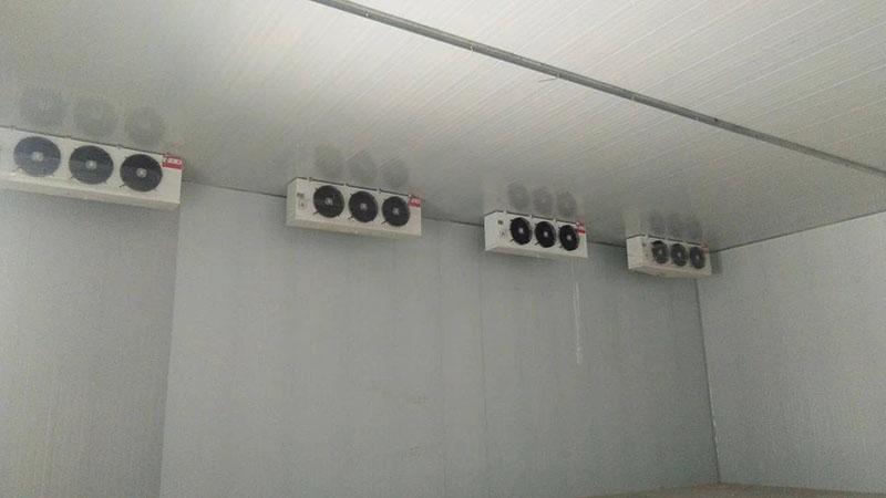 u=2809634112,3850862093&fm=253&fmt=auto&app=138&f=JPEG.jpg