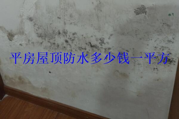 c51ae7a299f242eead95b6549c20b933.jpg