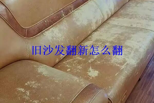 47ac726bcb074a6e9d564731db6c9f51.jpg
