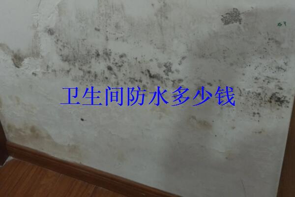 a852176dcffa485d9e01eb4d1327afcc.jpg