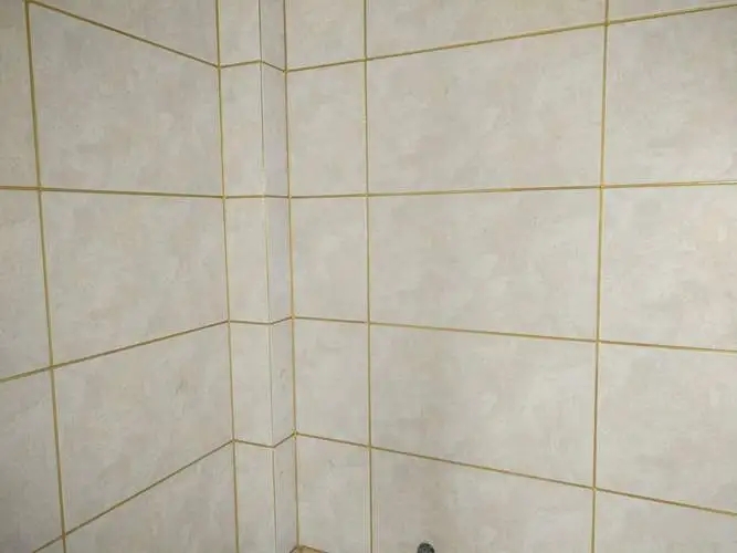 u=3290541058,2778857758&fm=253&fmt=auto&app=138&f=JPEG.webp.jpg